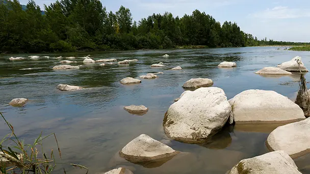 Agostini Pederobba il fiume Piave