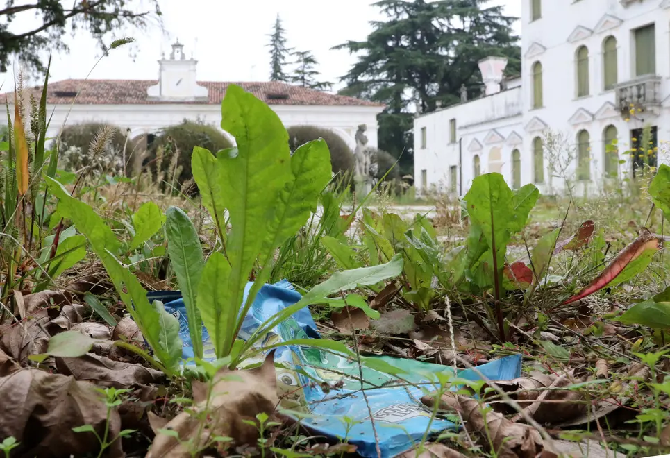 DE WOLANSKI AG.FOTOFILM TREVISO VILLA CA' ZENOBIO