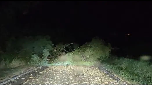 Via Cavalier a Valdobbiadene bloccata da un albero caduto nella notte