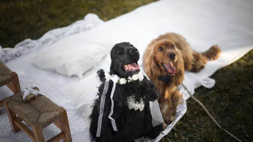 Cesare e Camilla (foto Annalisa Durighello)