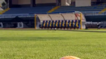 Lo stadio di Conegliano