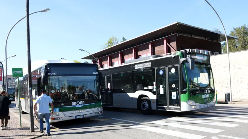 de polo agenzia foto film treviso autobus mom