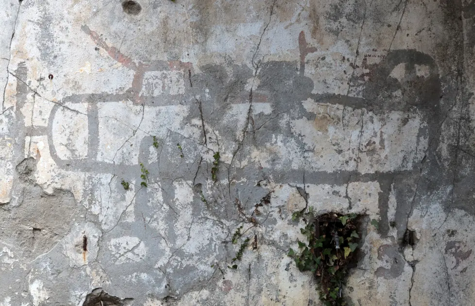 borghesi agenzia foto film treviso disegno guerra mondiale trovato sede avis via 3 armata