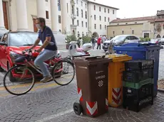 zago agenzia foto film treviso interviste su raccolta differenziata