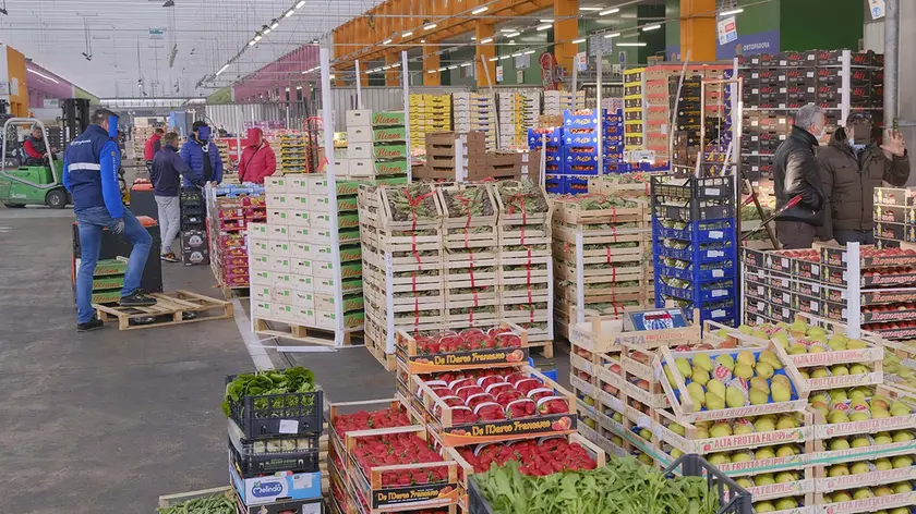 Il Mercato ortofrutticolo di Padova, al centro dell’indagine della Finanza che ha coinvolto la ditta di Mogliano