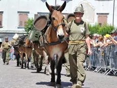 Nello sfilamento di Udine spazio anche ai muli, storici compagni degli alpini