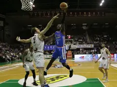 bolognini agenzia foto film villorba treviso basket -trapani in foto brown
