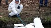 Controlli dell’Arpav a caccia di sostanze inquinanti