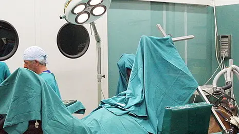 BELLUCO CLINICA VETERIANARIA PER CAVALLI LIMENA sala operatoria BELLUCO