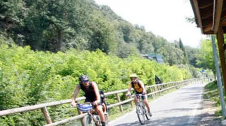 DORO MONTEBELLUNA STRADONE DEL BOSCO DIVANO ABBANDONATO montebelluna abitazione zanatta divani gettato canale brentella