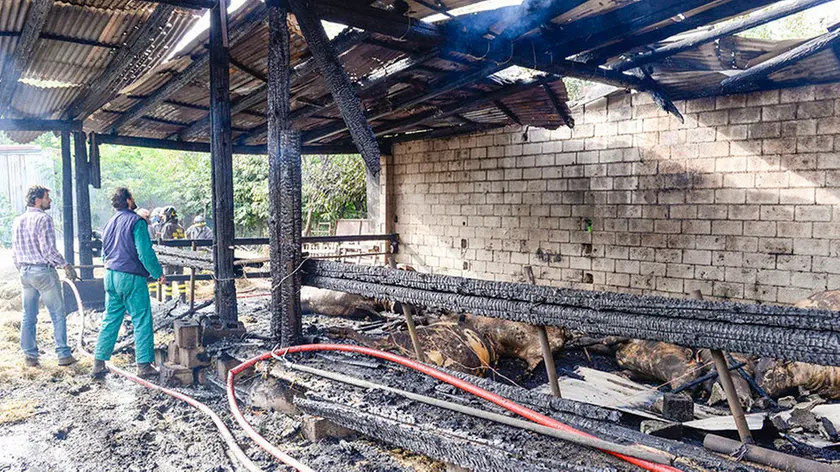 Barbieri Trevignano incendio nella azienda agricola Paolo Simeoni