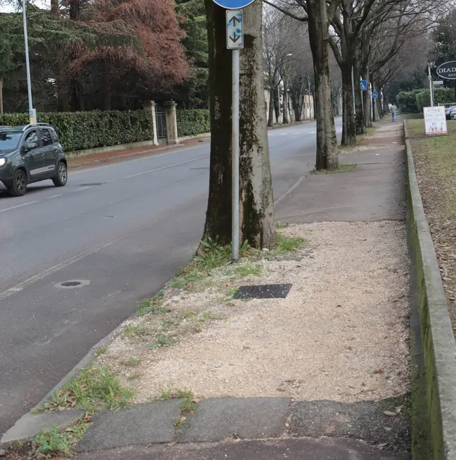 de wolanski agenzia foto film treviso tvia brigate marche