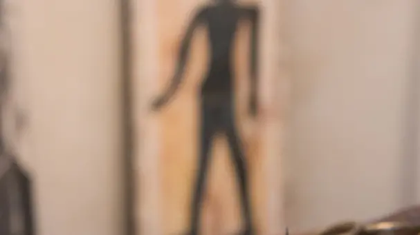 La mostra