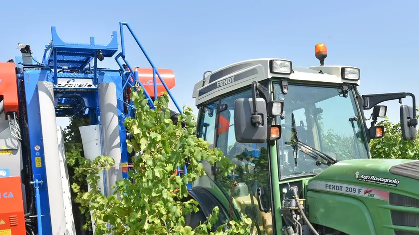Macchina vendemmiatrice all’azienda agricola Cester