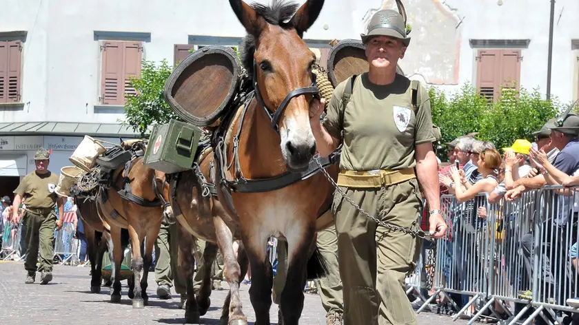 Treviso ospiterà l'Adunata Triveneta degli Alpini nel 2027