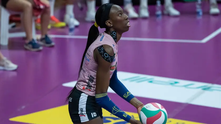 gabriele.alemani@gmail.com