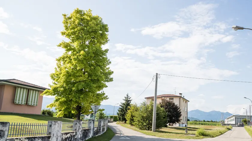 Filippi Falzè Di Piave Via Palliaghe 32