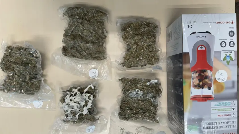 La marijuana arrivata dalla Spagna a Treviso