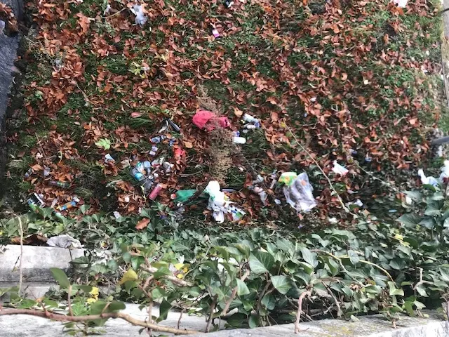 Immondizia nei giardinetti della stazione di Treviso