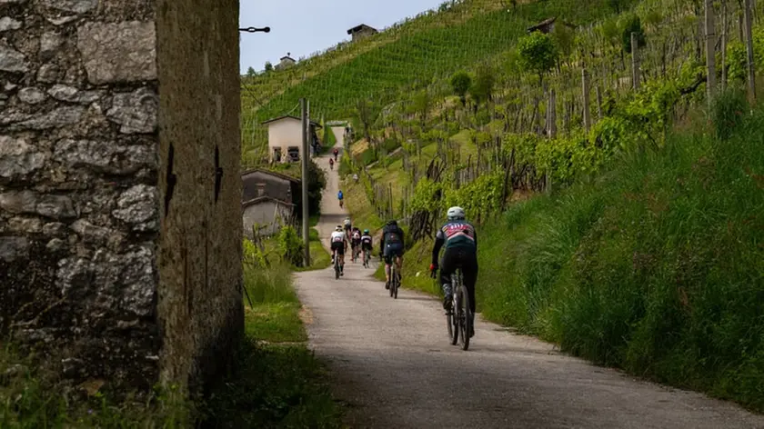 Un tratto della Nova Eroica Prosecco Hills durante la scorsa edizione