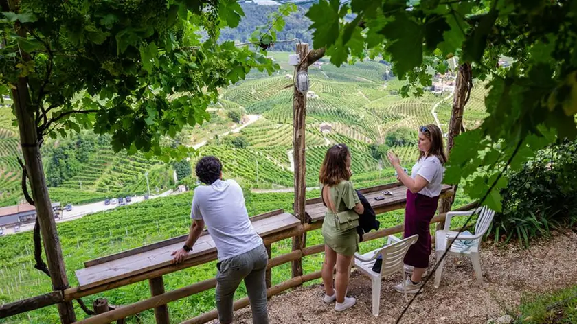 Turisti sulle Colline del Prosecco