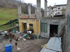 La baracca in via Castellich a Tarzo dove è stato rinvenuto il corpo