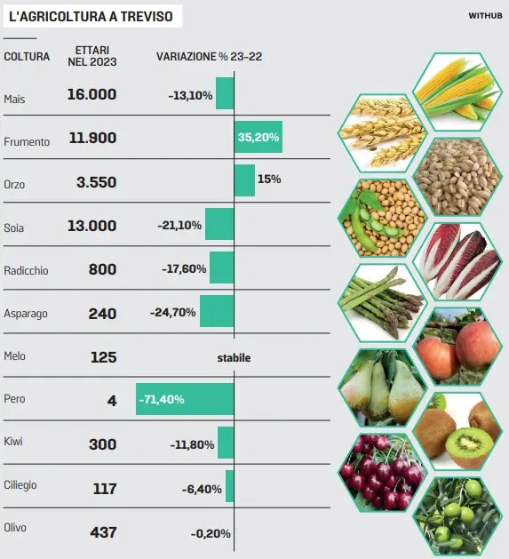 L'agricoltura nella Marca