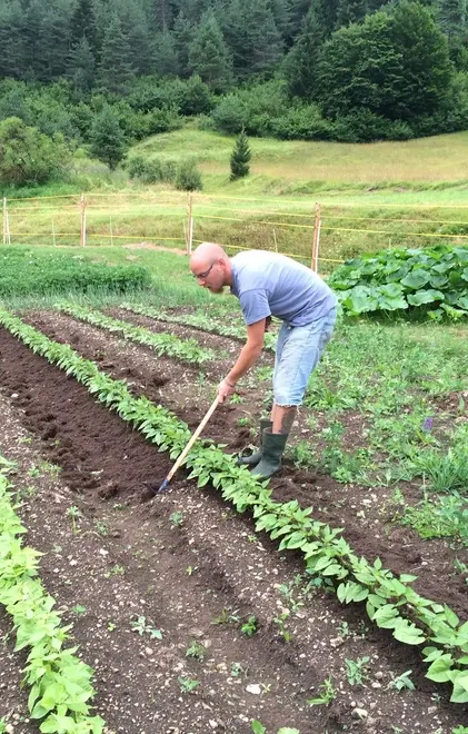 Agricoltura in difficoltà a Treviso