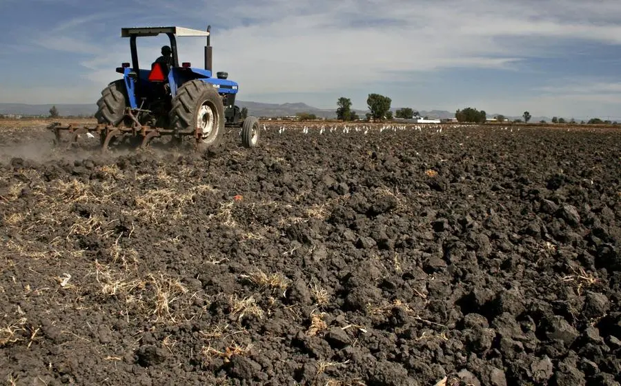 Gli effetti del cambiamento climatico in agricoltura