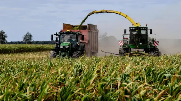 Agricoltura trevigiana in difficoltà