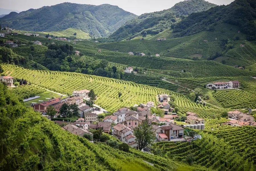 Sulle Colline Unesco aumento il prezzo del mattone