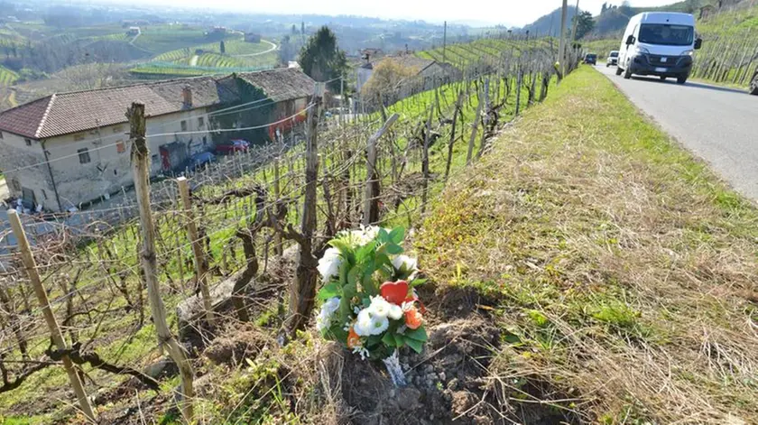 I fiori sul luogo dell'incidente che è costato la vita a David Agostinetto