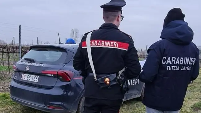 I carabinieri del Nil hanno eseguito controlli nelle aziende in provincia di Treviso