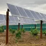 Il progetto di un impianto agrivoltaico