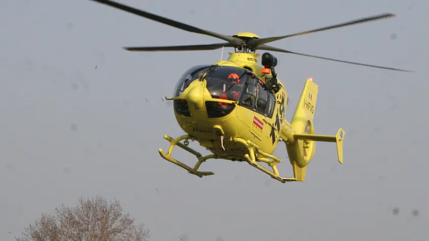 Anziano colpito da un tronco mentre fa legna a Revine Lago: è gravissimo