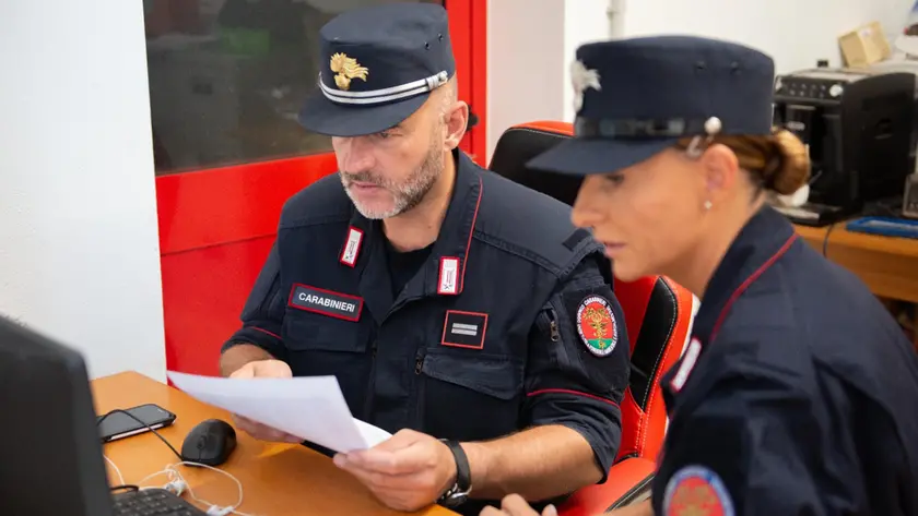 L'operazione è stata condotta dai carabinieri forestali