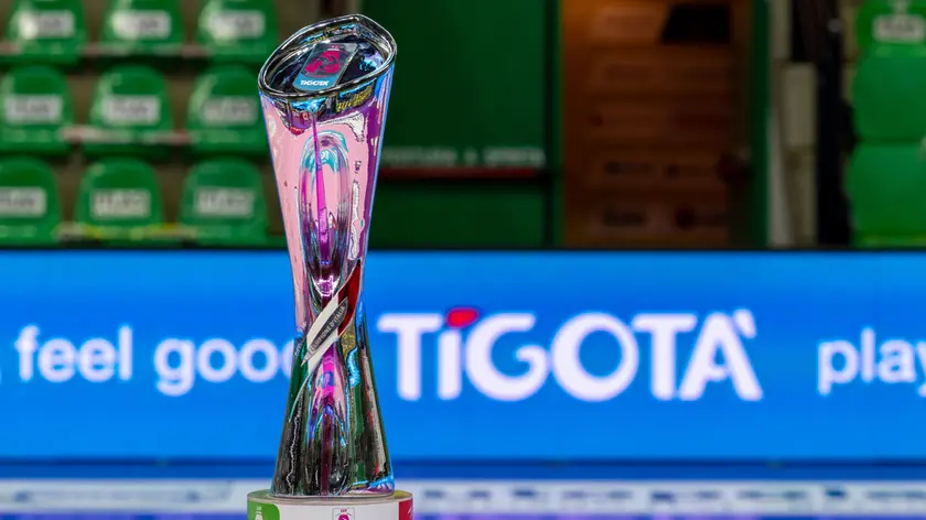Lo scudetto 2024-25 al Palaverde in occasione di gara-1 (Foto LVF/Rubin)
