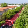 Un'immagine della Treviso in Rosa