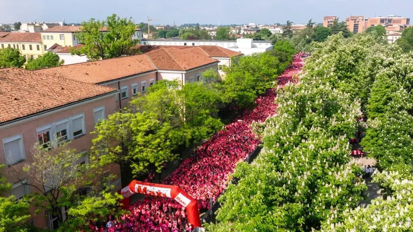 Un'immagine della Treviso in Rosa