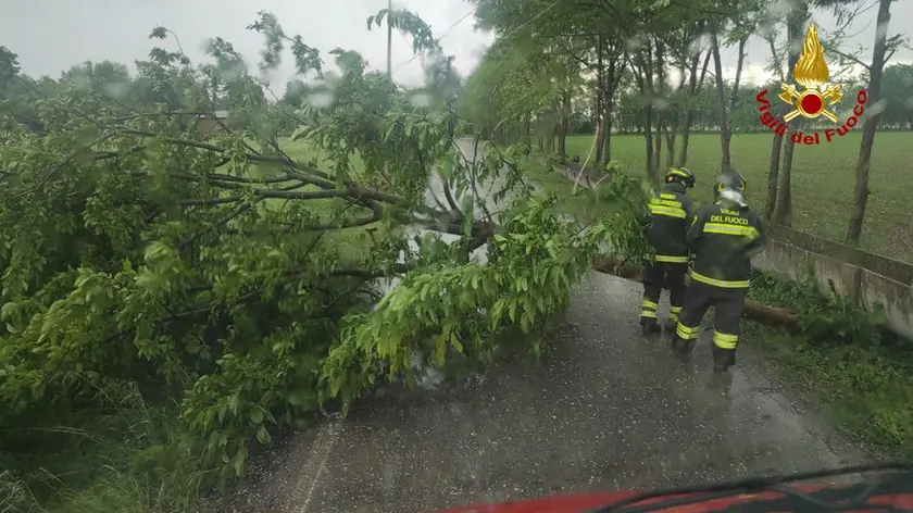 Un intervento dei vigili del fuoco a Treviso nel pomeriggio del 5 maggio