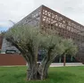 La nuova sede di Dersut a Conegliano