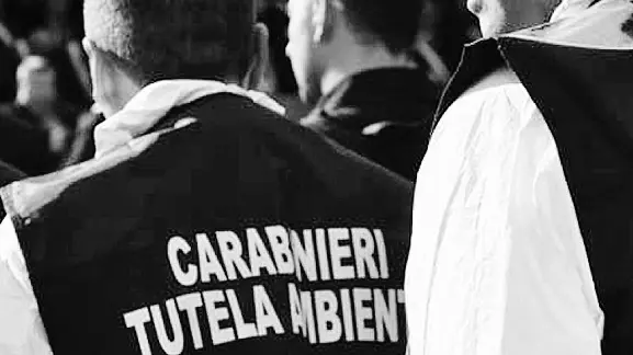 Operazione dei carabinieri di tutela ambientale