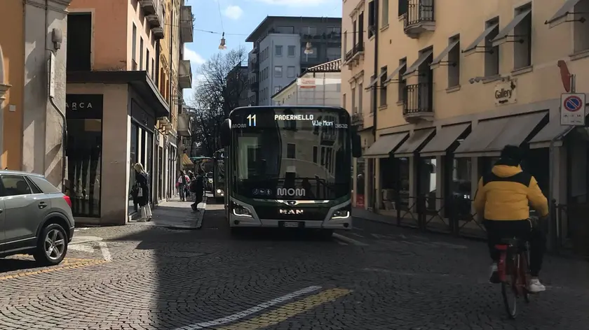 Un bus della Mom, nuovi progetti per il trasporto pubblico trevigiano