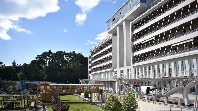 La Sissa di Trieste ha collaborato, per la parte italiana, allo studio