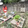 I danni al cimitero di Onigo di Pederobba