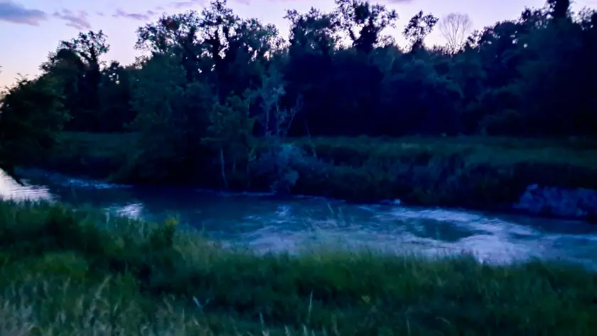 Il tratto del torrente Cormor a Carlino dove il 63enne ha perso la vita