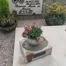 La tomba della famiglia Mazzer dalla quale è stato sottratto il busto del giovane Walter