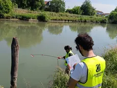 I campionamenti sul Sie da parte di Legambiente