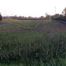 Un terreno che fa parte della maxi area attorno a villa Franchetti