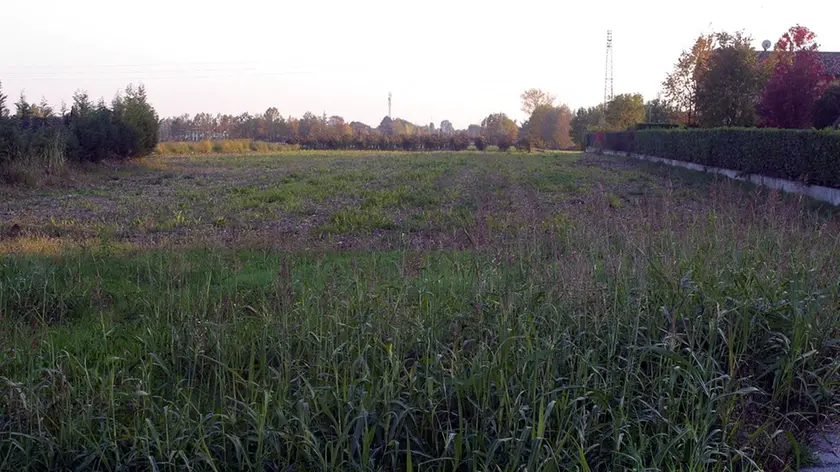 Un terreno che fa parte della maxi area attorno a villa Franchetti